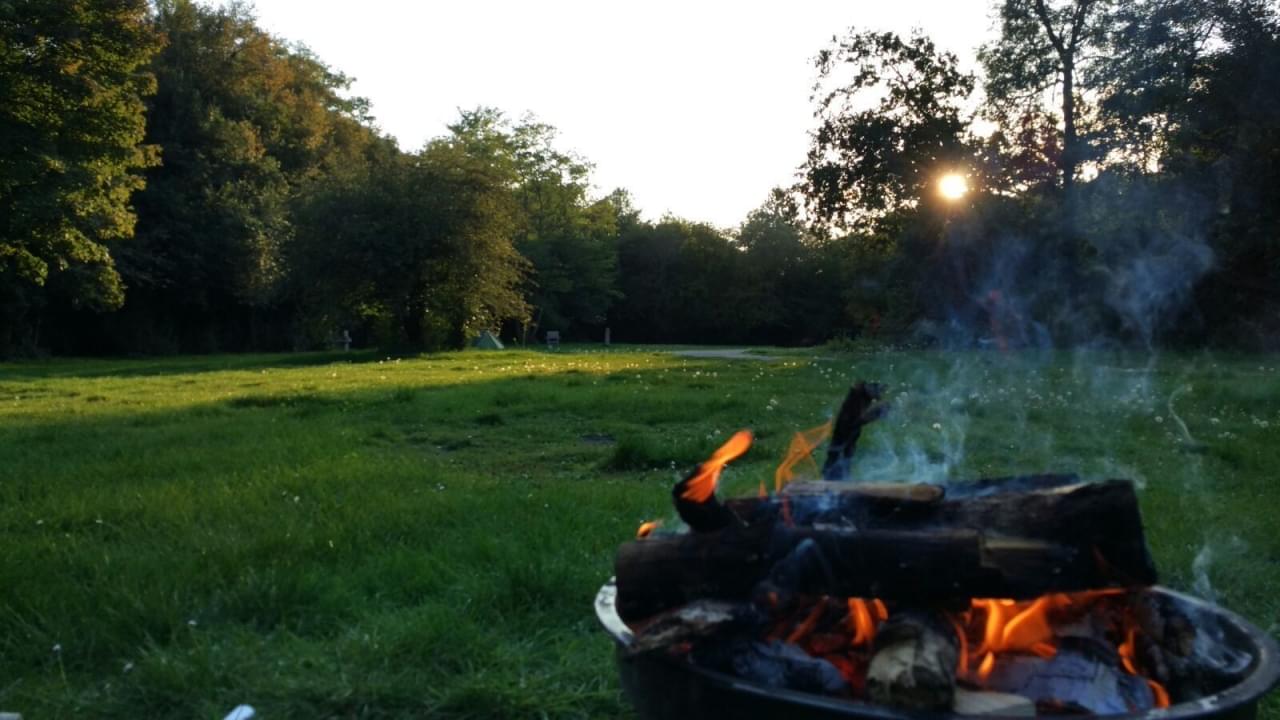 Resiverhaal - Boulderen in Fontainebleau