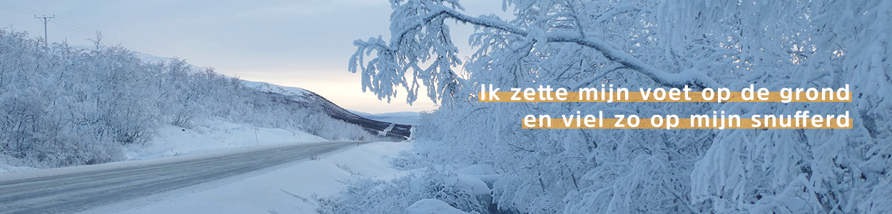 Avontuur boven de poolcirkel