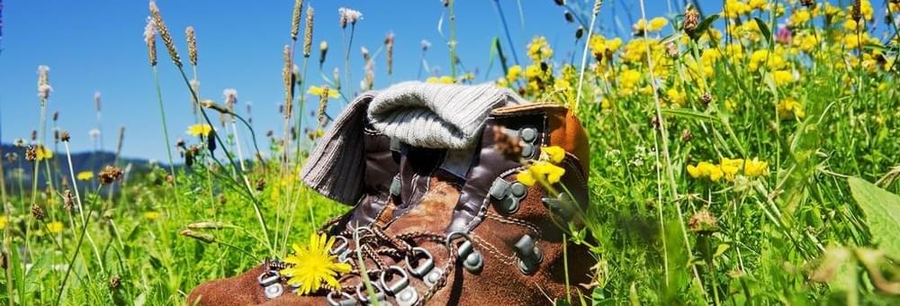 Voorbereiden op de Nijmeegse Vierdaagse