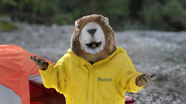 Review - Marmot Limelight 4P