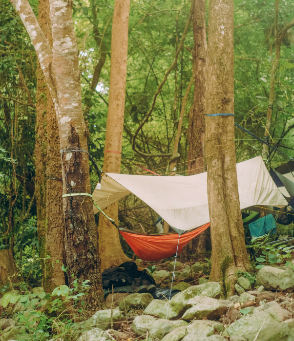 Alles over hangmatten