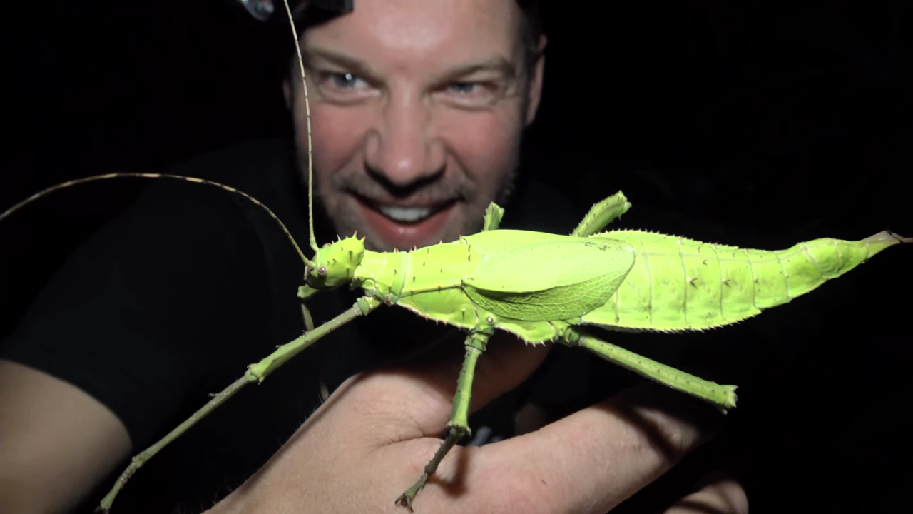 Reisverhaal - Slangen zoeken in Thailand deel I