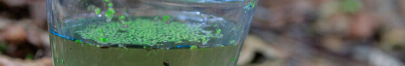 Review - Katadyn Combi filter