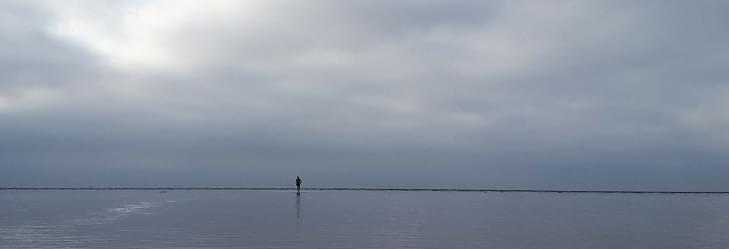 Wadlopen Texel - Vlieland